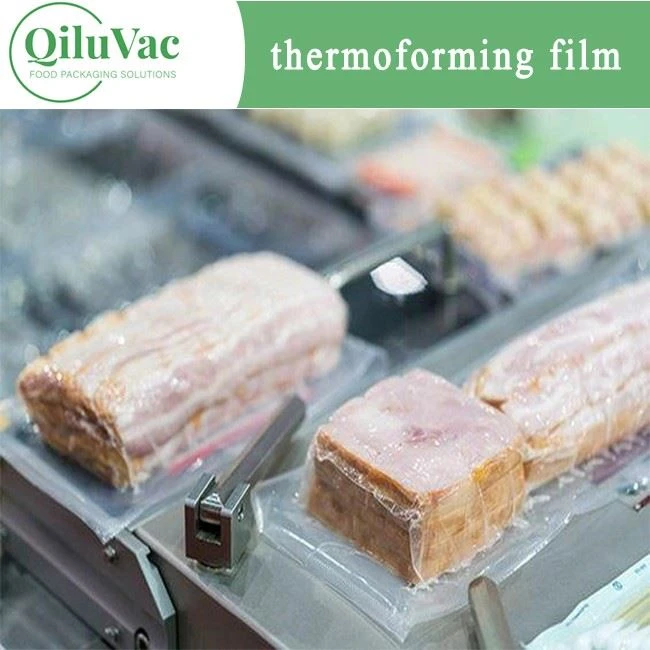 High Temperature Pa Pp Film